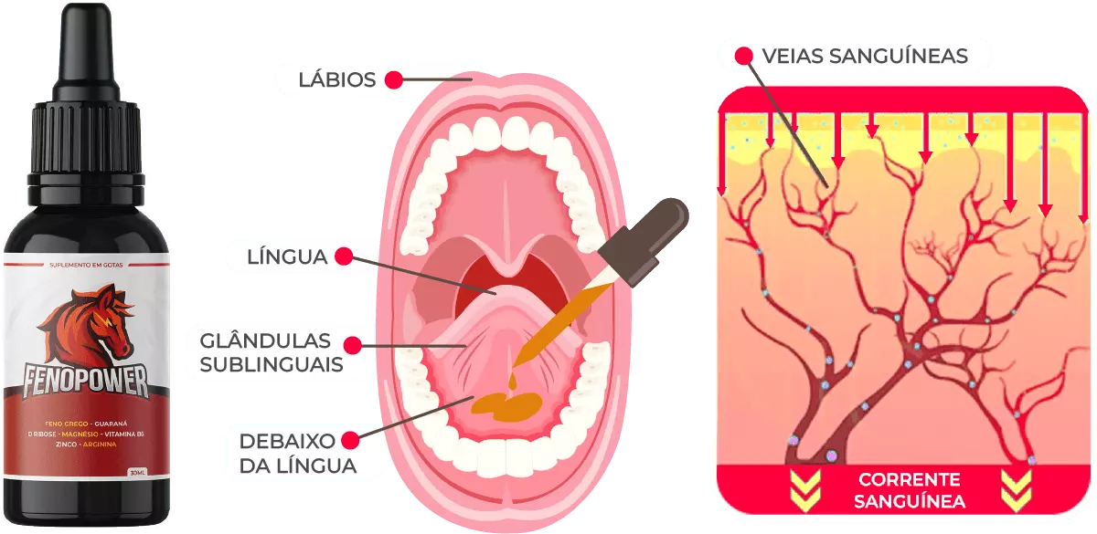 Fenopower é um estimulante para homens 100% natural que ajuda a recuperar sua virilidade, com aumento da testosterona, mais potência na cama, orgasmos mais longos e melhor desempenho sexual. Satisfaça sua parceira como nunca antes!