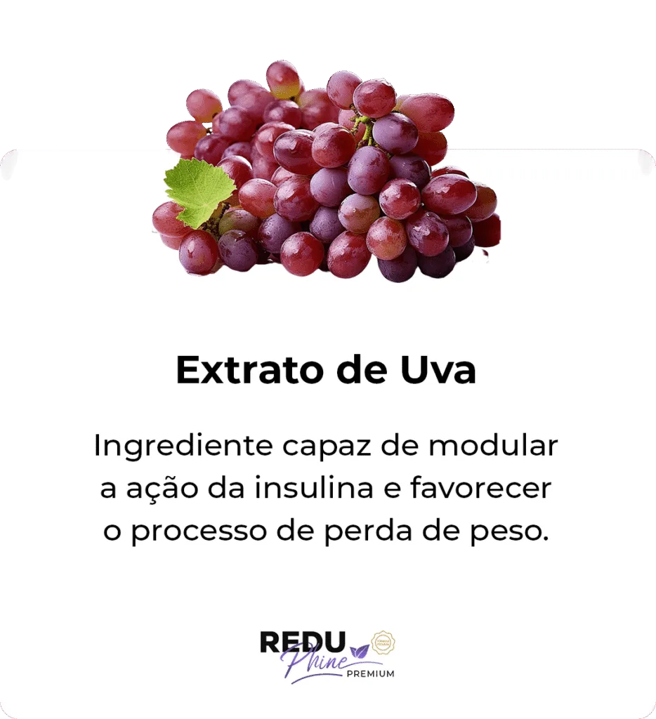 i-Extrato-de-uva.png