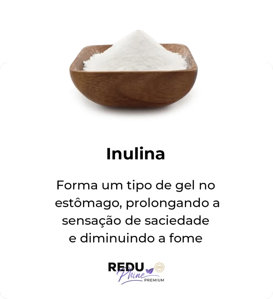 i-Inulina-2.png