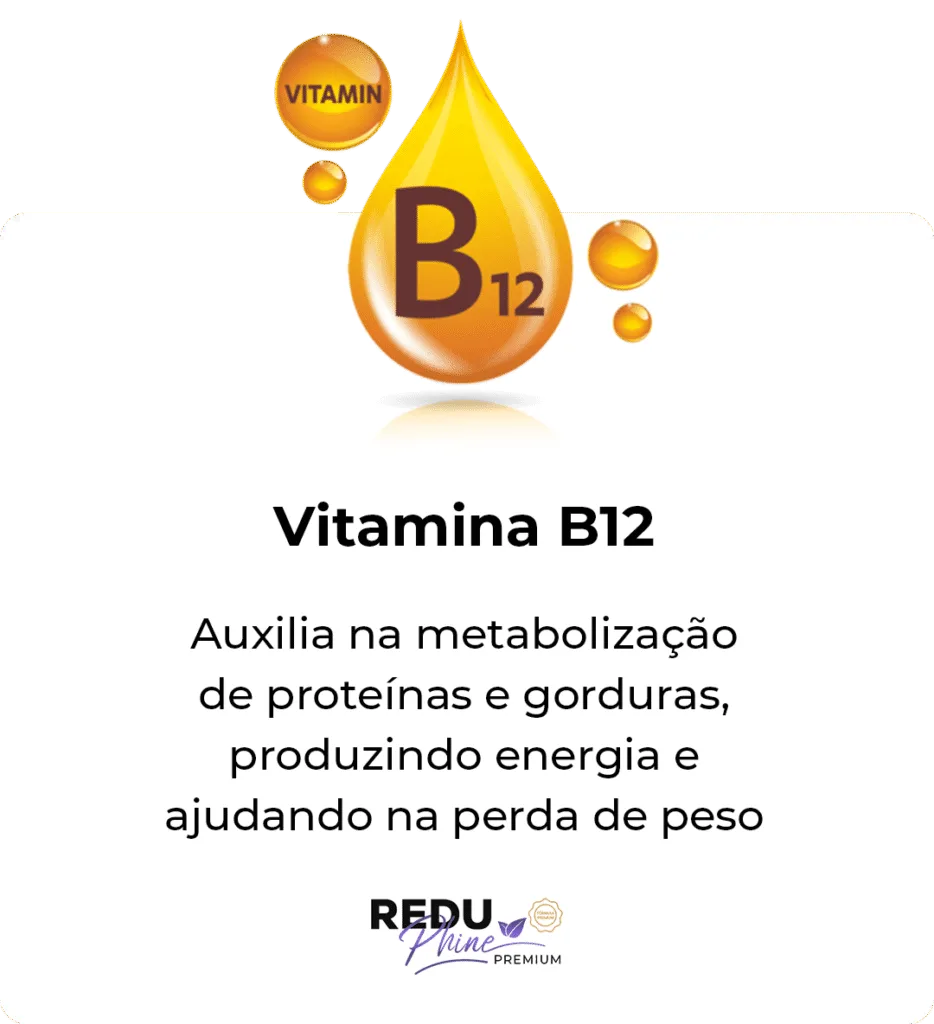 i-Vitamina-b12.png